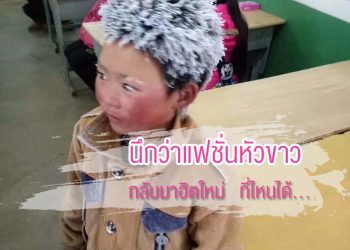 หัวขาวโพลน!! มองแว่บแรกนึกว่าแฟชั่นใหม่ ที่ไหนได้… คือสงสารน้อง