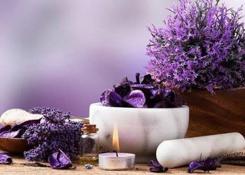 5 ประโยชน์ของน้ำมันลาเวนเดอร์