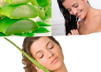 5 วิธี หมักผมสวยด้วยเจลว่านหางจระเข้