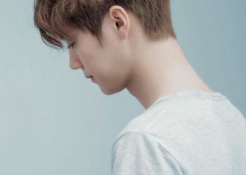 Asian hair color 013