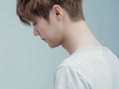 Asian hair color 013