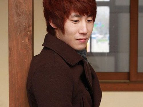 Asian hair color 039