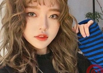 Asia Woman Phom Hair 003