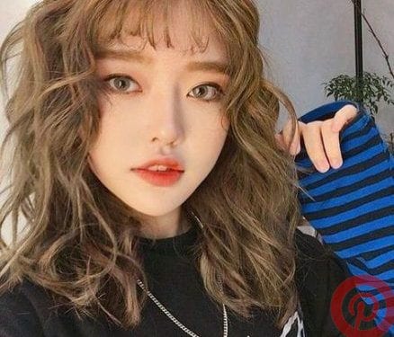 Asia Woman Phom Hair 003