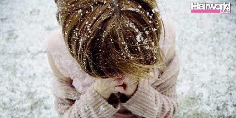 ปัญหาผมที่มาพร้อมกับลมหนาว