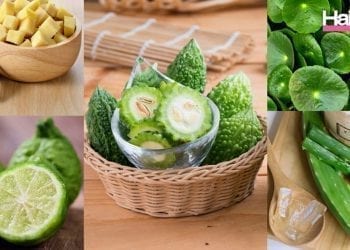 สมุนไพรไทย ของใกล้ตัวช่วยบำรุงเส้นผม