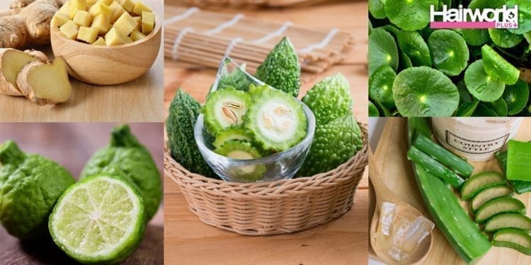 สมุนไพรไทย ของใกล้ตัวช่วยบำรุงเส้นผม