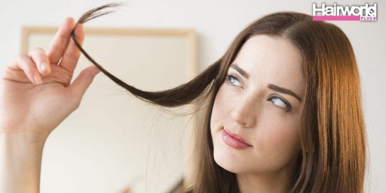 เรื่องเส้นผม ที่หลายคนอาจไม่เคยรู้มาก่อน