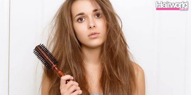 มัดผม Everyday Look ยังไงให้สวย ?