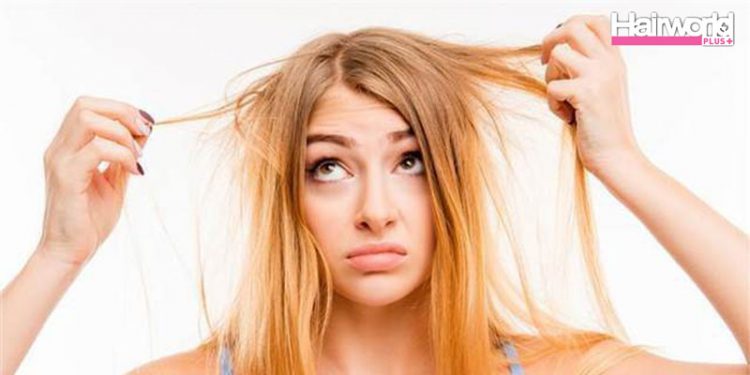 ผมไม่เน่าใช้ Dry Shampoo