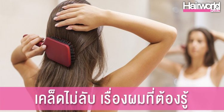 เกร็ดความรู้เรื่องผม ที่หลายๆ คนควรรู้