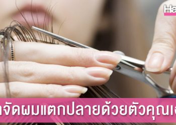 จัดการให้อยู่หมัดด้วย 5 วิธีกำจัดผมแตกปลายที่ควรรู้