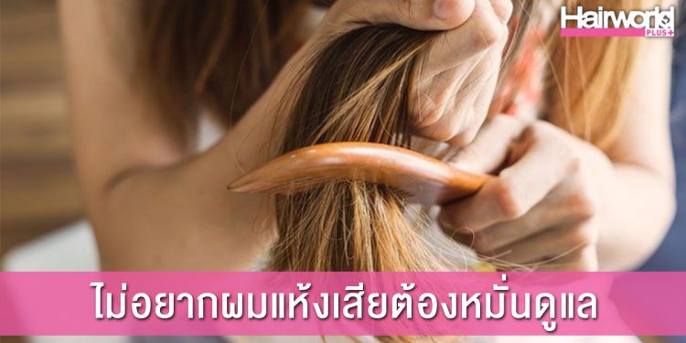 ปัญหาผมแห้งเสียจะหมดไป!