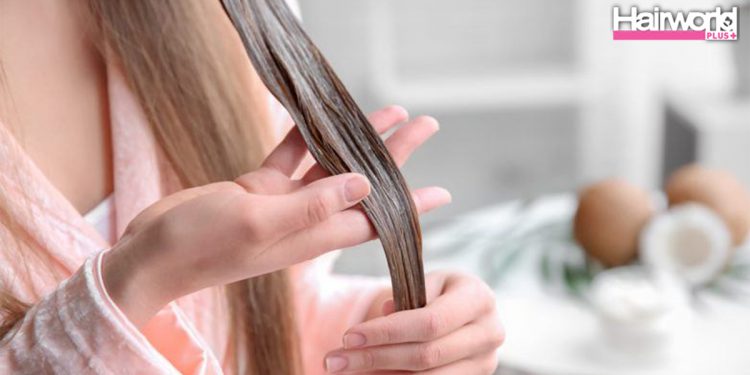 7 ครีมหมักผมราคาหลักร้อย คุณภาพหลักล้าน