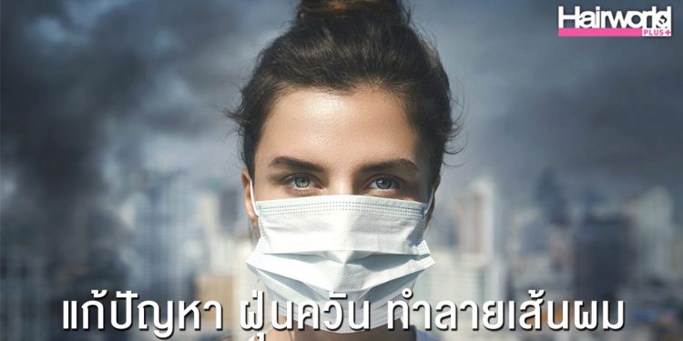 มลพิษ ฝุ่นควัน ทำลายเส้นผมได้อย่างไร?