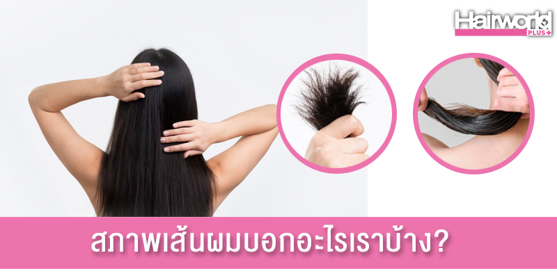 มาตรวจสภาพเส้นผมกัน พร้อมวิธีบำรุงง่ายๆ ให้ผมสุขภาพดี
