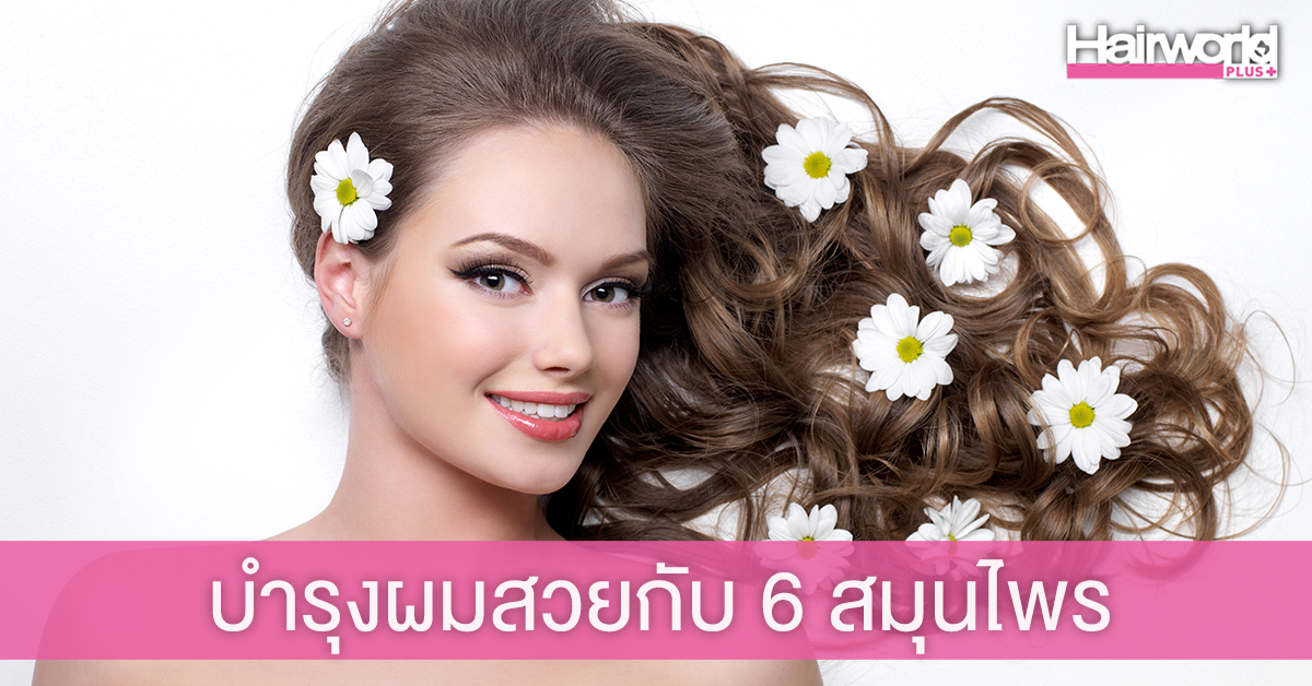 ผมสวยแบบประหยัด! ดูแลผมเสีย ด้วย 6 สมุนไพรใกล้ตัว