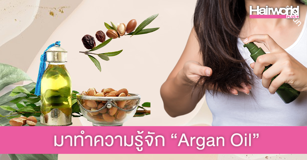 มาทำความรู้จัก Argan Oil น้ำมันสารพัดประโยชน์ บำรุงได้ทั้งผมและผิว