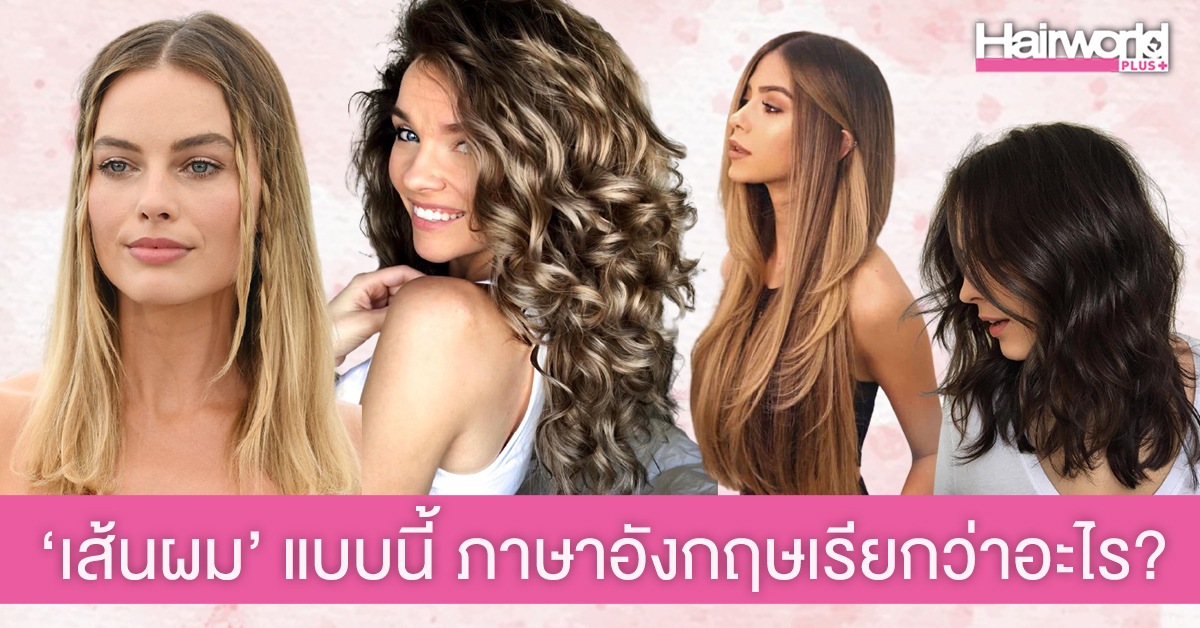 แนะนำคำศัพท์ภาษาอังกฤษ ‘เส้นผม’ แบบนี้ เรียกว่าอะไร?