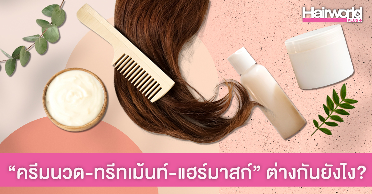 เปิดความต่างของ “ครีมนวด-ทรีทเม้นท์-มาส์กผม” รู้ไว้ ใช้ให้เหมาะกับผมของคุณ