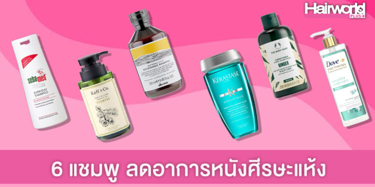 6 แชมพูสำหรับหนังศีรษะแห้ง ช่วยคืนความชุ่มชื้น บอกลาอาการคัน