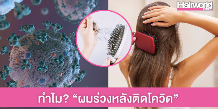 ไขข้อสงสัย “ผมร่วง”หลังติดโควิดเกิดจากอะไร หายเองได้หรือไม่