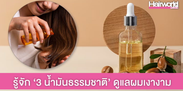 รู้จัก ‘3 น้ำมันธรรมชาติ’ พร้อมทริคดูแลผมสวยเงางาม