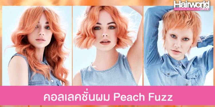 คอลเลคชั่นผม Peach Fuzz ต้อนรับสีแห่งตาม Pantone 2024
