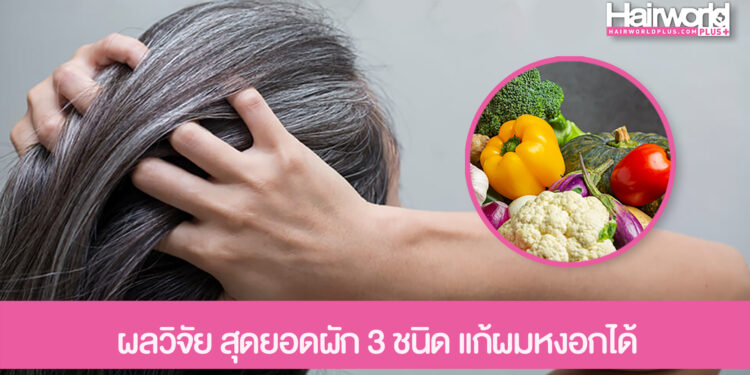 แพทย์เผยผลวิจัย สุดยอดผัก 3 ชนิด แก้ผมหงอกได้ ใครผมหงอก ผมขาว รีบหามากินเลย!