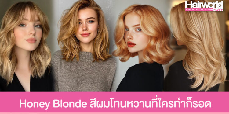 แชร์ไอเดีย Honey Blonde สีผมโทนหวาน เพิ่มออร่าดูสวยแพง
