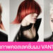 คอลเลคชั่นผม VANTA ผลงาน Emma Simmons ผู้คว้ารางวัล North Eastern Hairdresser of the Year 2025