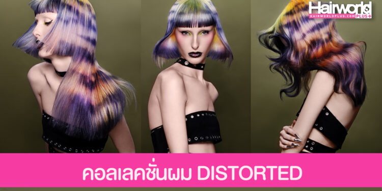 ส่องภาพคอลเลคชั่นผม DISTORTED ผลงานคว้ารางวัลจากเวที Coiffure Award Netherlands 2025